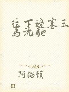往下边塞玉器骑马沈驰封面