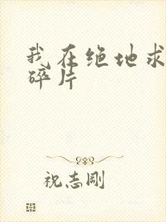我在绝地求生捡碎片