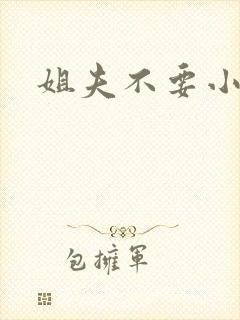 姐夫不要小说
