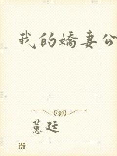 我的娇妻公务员