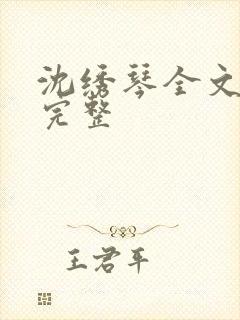 沈绣琴全文阅读完整封面
