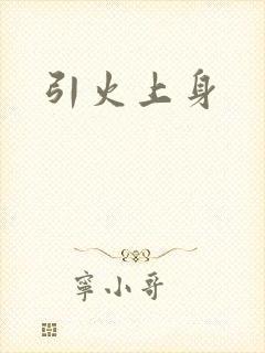 引火上身封面