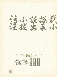 污小说总裁整夜没拔出来小说在线阅读