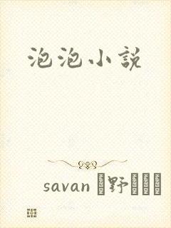 泡泡小说