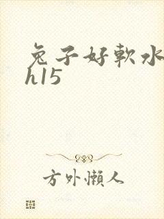 兔子好软水好多h15封面