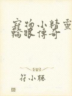 宠物小精灵之写轮眼传奇封面