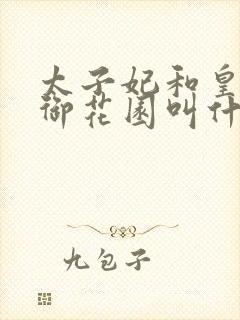 太子妃和皇帝在御花园叫什么小说