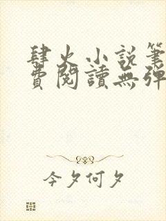 肆火小说笔趣免费阅读无弹窗封面