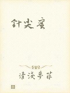 针尖蜜封面