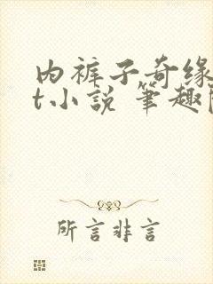 内裤子奇缘txt小说 笔趣阁