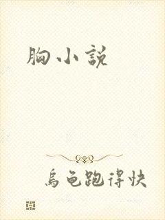 胸小说