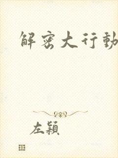 解密大行动