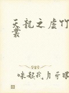 天龙之虚竹戏花丛封面