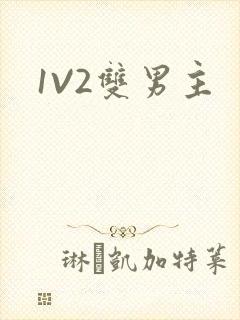 1V2双男主