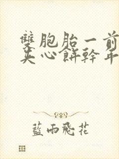 双胞胎一前一后夹心饼干年下