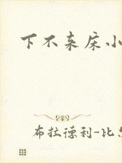 下不来床小说
