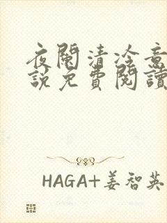 夜阑清冷意欢小说免费阅读