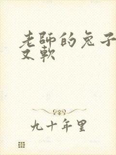 老师的兔子又大又软