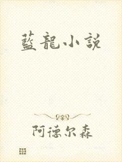 蓝龙小说封面