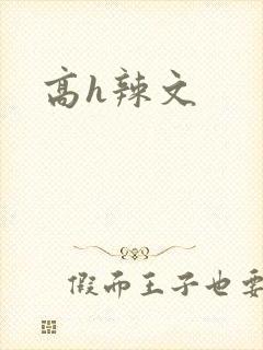高h辣文