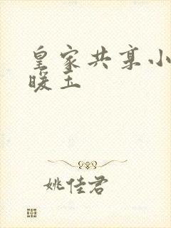 皇家共享小公主暖玉