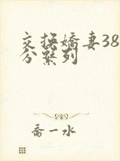 交换娇妻38部分系列