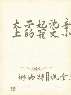 太子妃沈音和皇上的宠文小说