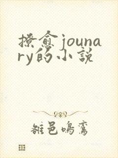撩愈jounary的小说封面