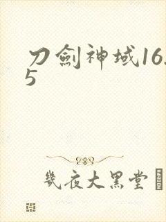 刀剑神域16.5