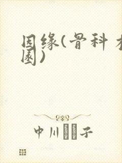 因缘(骨科 校园)