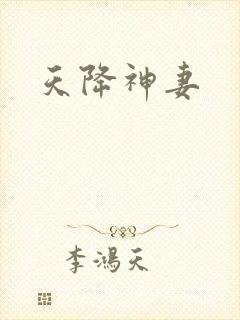 天降神妻