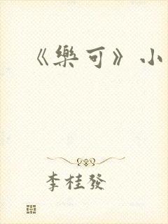 《乐可》小说封面