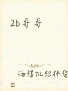 2b哥哥