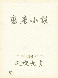 恋老小说