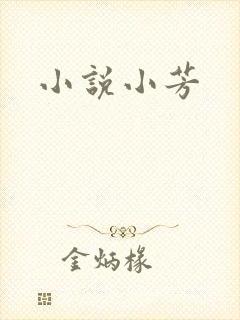 小说小芳