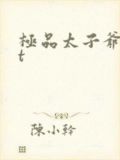 极品太子爷txt封面