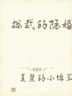总裁的隐婚新娘封面