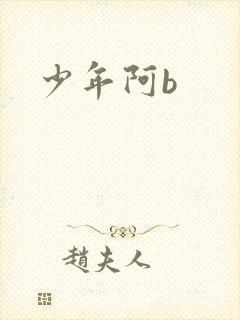少年阿b封面