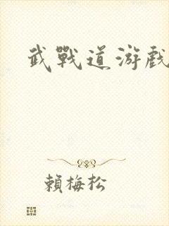 武战道游戏