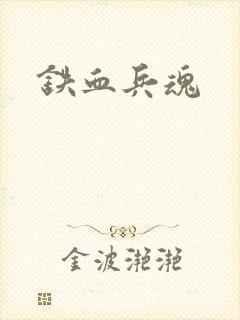 铁血兵魂封面