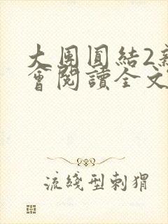 大团圆结2亲情会阅读全文
