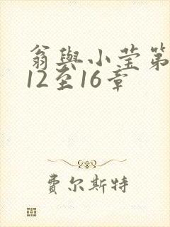 翁与小莹第十部12至16章