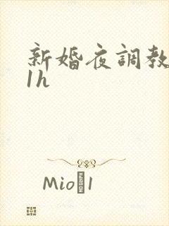 新婚夜调教1v1h封面