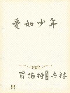 爱如少年