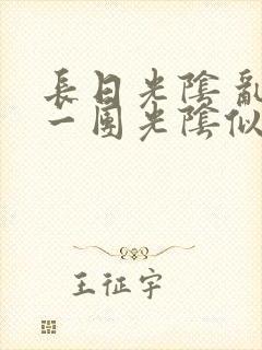 长日光阴 乱作一团光阴似箭封面