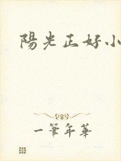 阳光正好小说