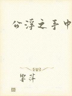 公浮之手中字5