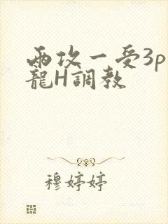 两攻一受3p双龙H调教