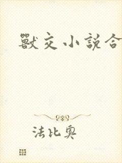 兽交小说合集封面