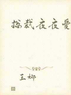 总裁夜夜爱
